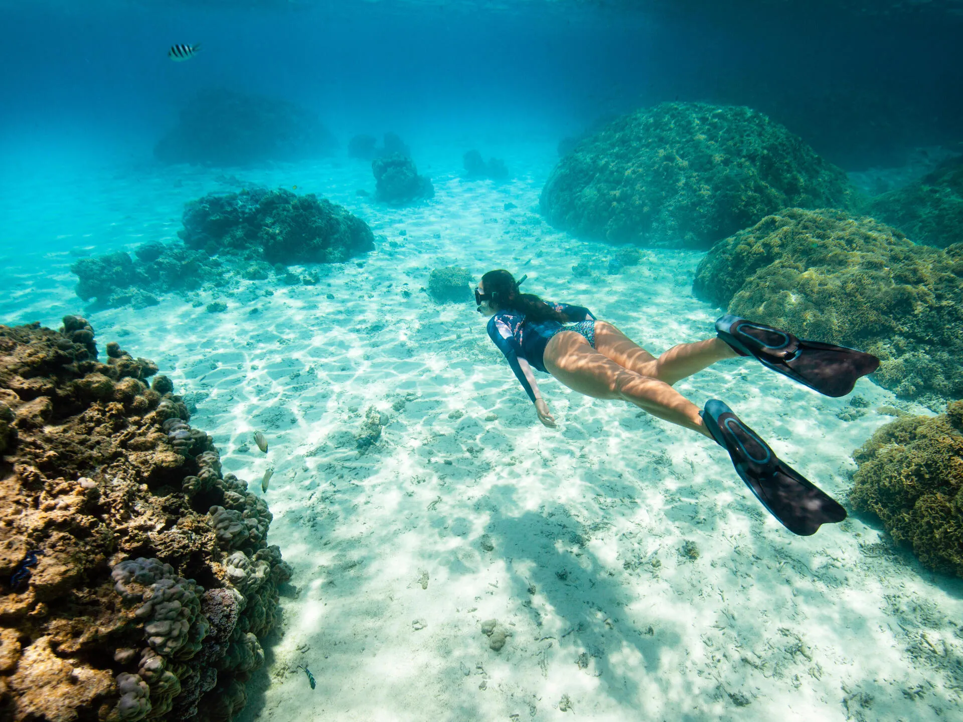 Snorkeling e kayak nelle baie riparate